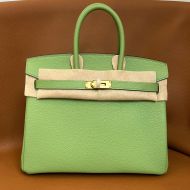 Hermes Birkin Bag Togo Leather Gold Hardware In Avocado Green